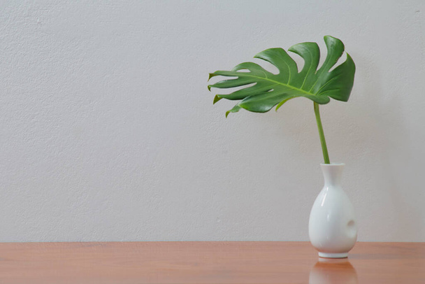 木製の机の上の花瓶にモンステラの葉と空白の壁、屋内植物のモックアップ - 写真・画像