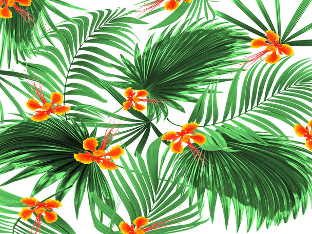 tropical green palm leaf tree and flower background  - Foto, afbeelding