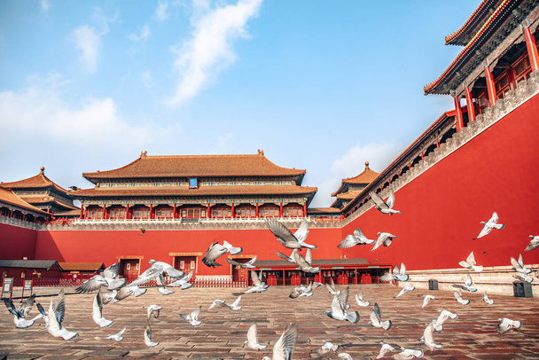 Tauben auf dem Verbotenen Stadtplatz in Peking, China. Tauben fliegen vor der Roten Mauer in der Verbotenen Stadt Peking. Chinesische Übersetzung der Gedenktafel im Bild: Meridian Gate. - Foto, Bild