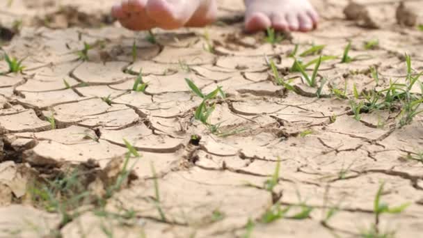  Dürre der Trockenzeit - Filmmaterial, Video