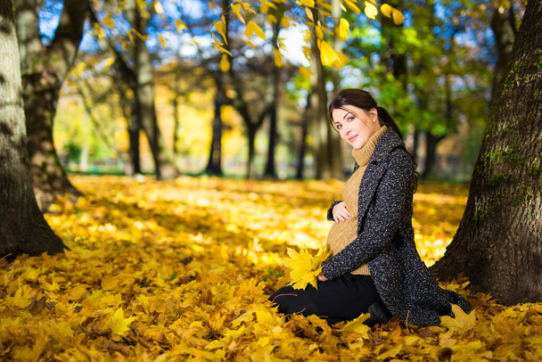 портрет щасливої вагітної жінки, що сидить в осінньому парку
 - Фото, зображення