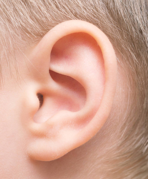 Primer plano de la oreja del bebé - Foto, Imagen