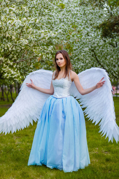 A young, beautiful woman in a white corset and blue lush dress with large white angel wings behind her back posing against the backdrop of blooming apple trees in the park. Angel in the Garden of Eden. - Fotografie, Obrázek