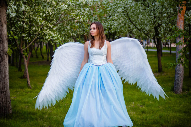 A young, beautiful woman in a white corset and blue lush dress with large white angel wings behind her back posing against the backdrop of blooming apple trees in the park. Angel in the Garden of Eden. - Φωτογραφία, εικόνα