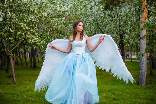 A young, beautiful woman in a white corset and blue lush dress with large white angel wings behind her back posing against the backdrop of blooming apple trees in the park. Angel in the Garden of Eden. - Φωτογραφία, εικόνα