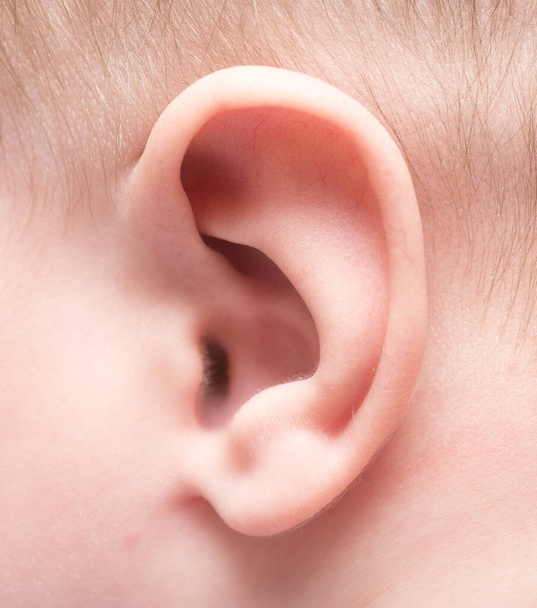 Primer plano de la oreja del bebé - Foto, Imagen