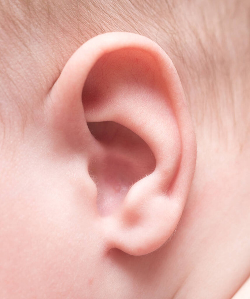 close-up shot van baby oor - Foto, afbeelding