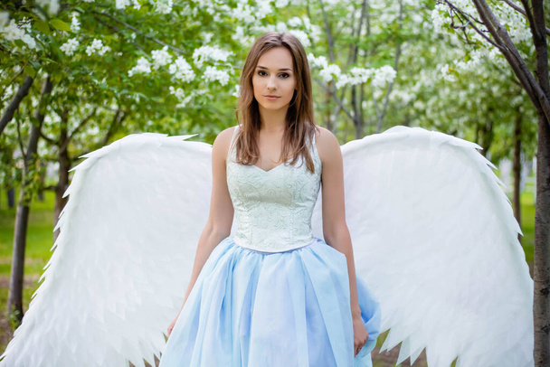  Attractive, young woman in a white corset and a blue puffy dress with large white angel wings behind her back poses against a background of blooming apple trees in the park. An angel strolling through the Garden of Eden. - Фото, зображення