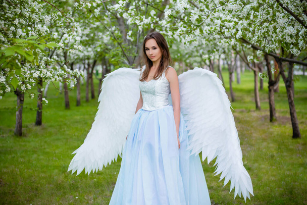  Atrakcyjna, młoda kobieta w białym gorsecie i niebieskiej podpuchniętej sukience z dużymi białymi anielskimi skrzydłami za plecami pozuje na tle kwitnących jabłoni w parku. Anioł spacerujący po Ogrodzie Eden. - Zdjęcie, obraz