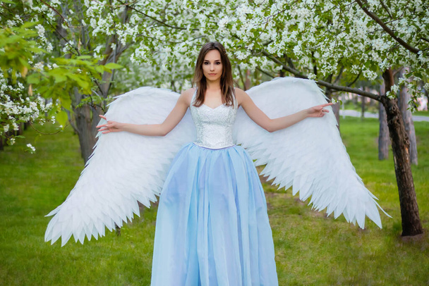  Attractive, young woman in a white corset and a blue puffy dress with large white angel wings behind her back poses against a background of blooming apple trees in the park. An angel strolling through the Garden of Eden. - Foto, afbeelding