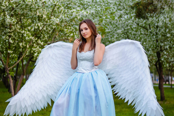  Attractive, young woman in a white corset and a blue puffy dress with large white angel wings behind her back poses against a background of blooming apple trees in the park. An angel strolling through the Garden of Eden. - Φωτογραφία, εικόνα