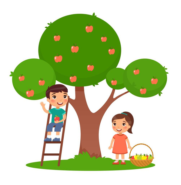 Children picking apples color flat vector illustration. Little boy and girl harvesting fruits together. Brother on ladder and sister near apple tree in garden. Isolated cartoon characters on white - Вектор,изображение