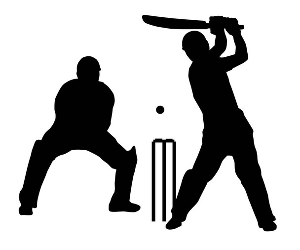 Kriket sportovní grafika v kvalitě vektoru - Vektor, obrázek