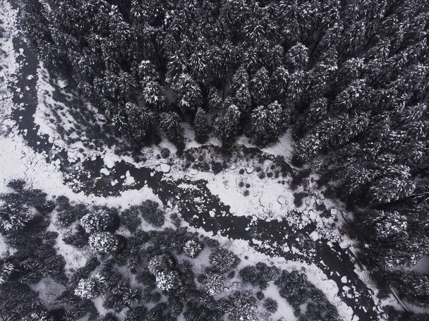 An aerial shot of the beautiful snow-capped pine trees in the forest - Φωτογραφία, εικόνα