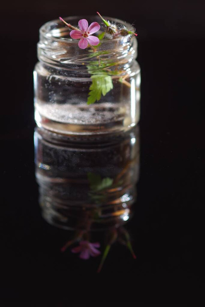 A vertical closeup shot of a small pink flower in a jar with a reflection on a black background - Valokuva, kuva