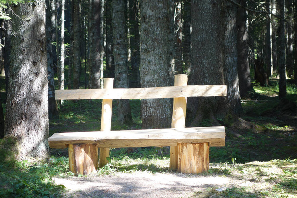 Drewniana ławka w lesie - Zdjęcie, obraz