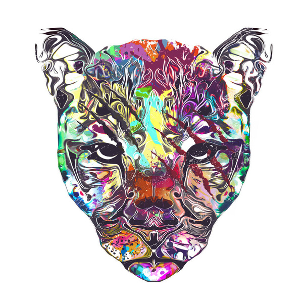 abstrakti taiteellinen leopardi kuono eristetty valkoisella taustalla - Valokuva, kuva