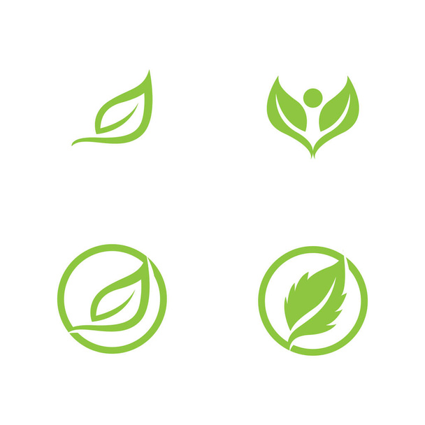 Логотипы вектора природных элементов листьев зеленого дерева - Вектор,изображение
