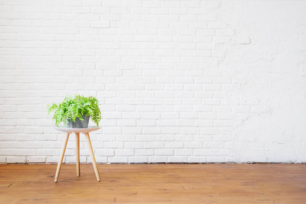 Home plant on a coffee table against the background of an empty brick white wall in the interior in the loft style. Realistic blank for interior design. - Foto, immagini