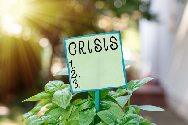 Conceptual hand writing showing Crisis. Business photo text event that is going to lead to an unstable and dangerous situation Plain paper attached to stick and placed in the grassy land. - Photo, Image
