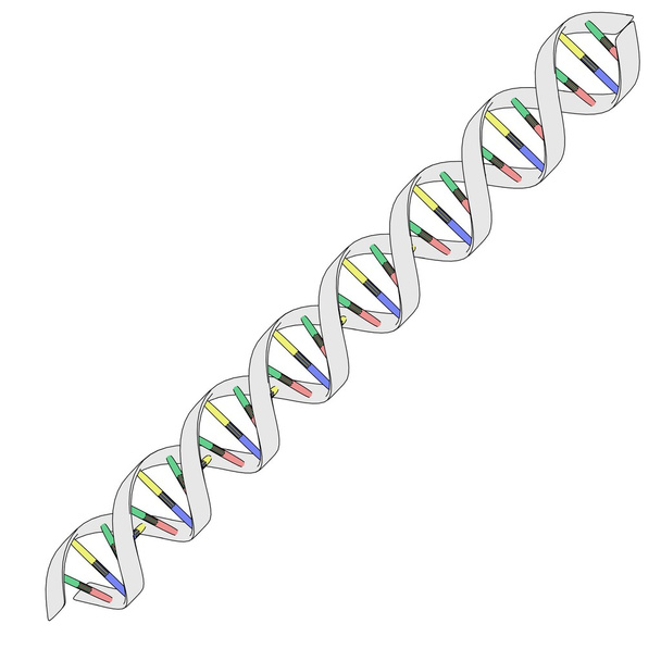 Sarjakuva DNA-rakenteesta
 - Valokuva, kuva