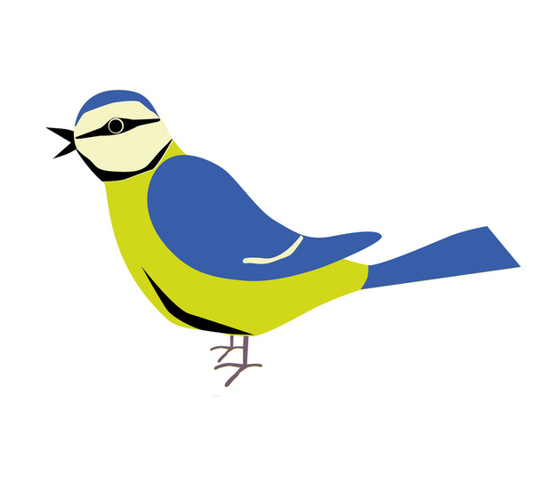 An illustration of a blue tit - Vector, Image