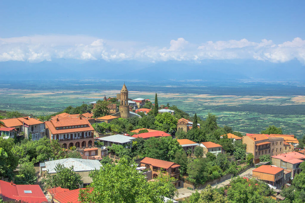 View of Signagi,town in Georgia's region of Kakheti.Popular tourist destination at the heart of wine region.Picturesque landscape,pastel houses and narrow,cobblestone streets.Alazani Valley background - Фото, изображение