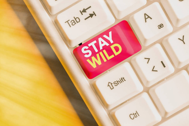 Conceptual hand writing showing Stay Wild. Business photo showcasing end up being extremely energetic throughout the entire day. - Photo, Image