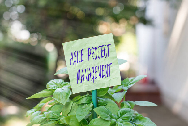 Az Agilis Projekt Menedzsment felirat. Koncepcionális fotókezelési módszer a hagyományos technológiától a modern technológiáig Üres papír egy pálcikához erősítve és a zöld leveles növényekbe helyezve. - Fotó, kép