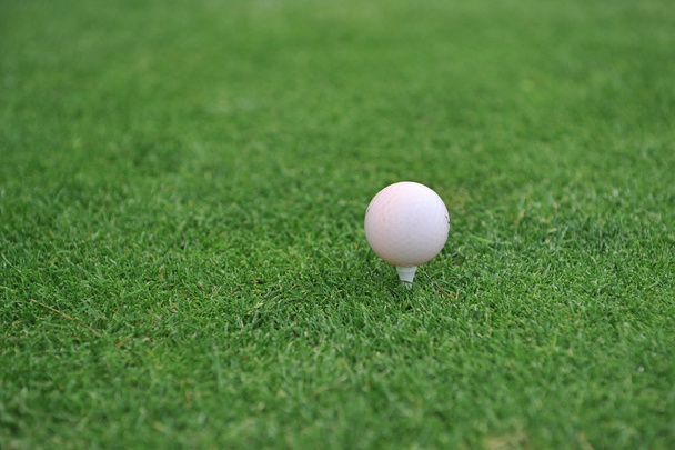 Golf field - Fotoğraf, Görsel