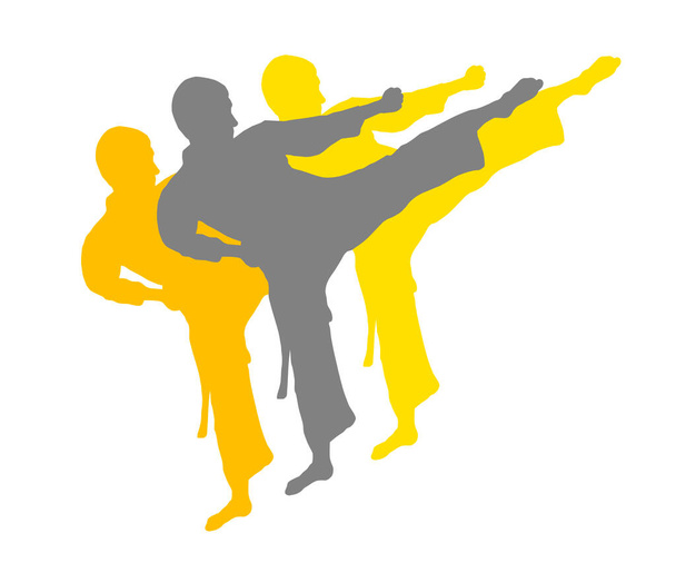 Karate gráfico de combate en calidad vectorial
 - Vector, imagen