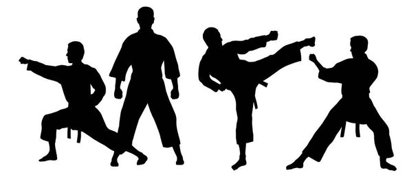 karate fighter graphic in vector quality - Vector, Image