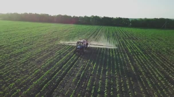 Aerial view. The tractor sprinkles the field with a sunflower. The sprayer processes the pesticide plantation helianthus plantation 4k video. - Filmmaterial, Video