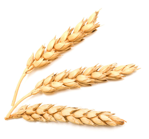 Пшеничні вуха ізольовані на білому тлі
 - Фото, зображення