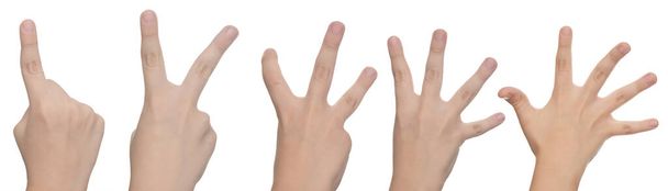 Рука ребенка показывает от одного до пяти пальцев рассчитывать изолированы на белом фоне
 - Фото, изображение