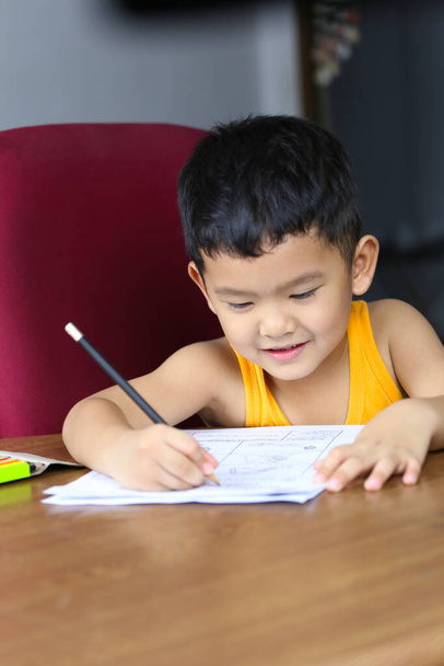 Asian boy is doing his homework,concept of studying on-live at home,Thailand boy in learning by themselves. - Photo, image