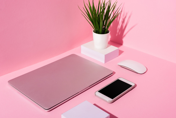 roze werkplaats met blanco sticky notes, smartphone, laptop, computermuis en plant - Foto, afbeelding