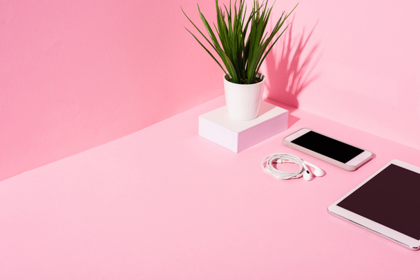 modern gadgets with blank screens, earphones and plant on pink background - Фото, изображение