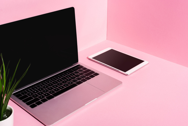 moderne gadgets met blanco schermen en plant op roze achtergrond - Foto, afbeelding