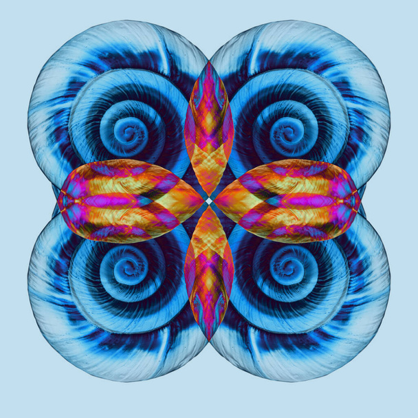 Patrón de concha de caracol azul surrealista abstracto. Patrón de concha geométrica creativa. Lujo natural mínimo. Diseño de arte con espirales
. - Foto, Imagen