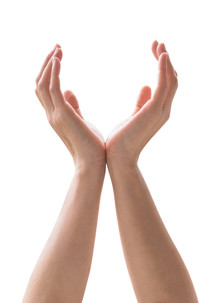 Hands of woman isolated with clipping path on white background in supporting, praying, worship for god blessing gesture pose  - Photo, Image