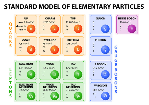 Modelo padrão de partículas elementares
 - Vetor, Imagem