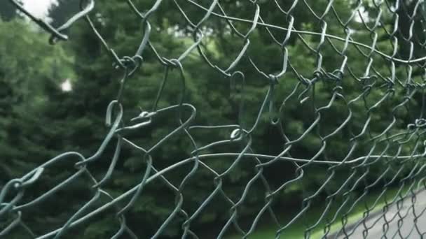 Old torn chain-link fence made of green iron wire. Coniferous trees in the forest in blur. Dramatic view. Prison Escape to the Protest Barricade Concept - Séquence, vidéo