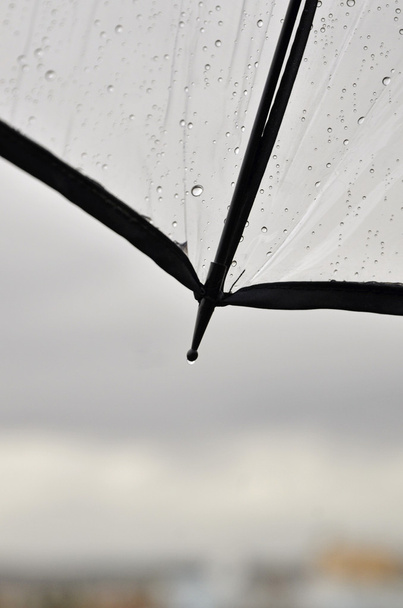 krople wody na parasol przezroczysty - Zdjęcie, obraz