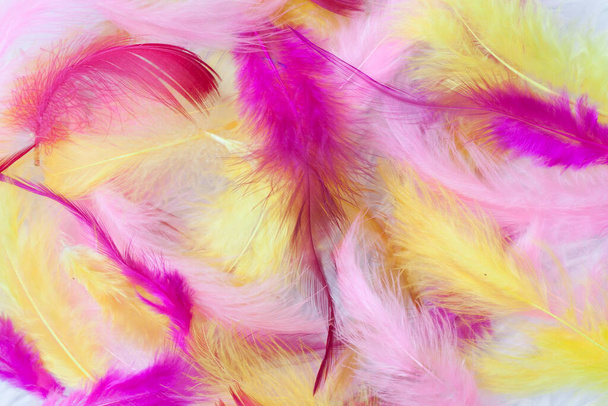 Chaotisch geel, roze, lila gekleurde veren achtergrond. - Foto, afbeelding