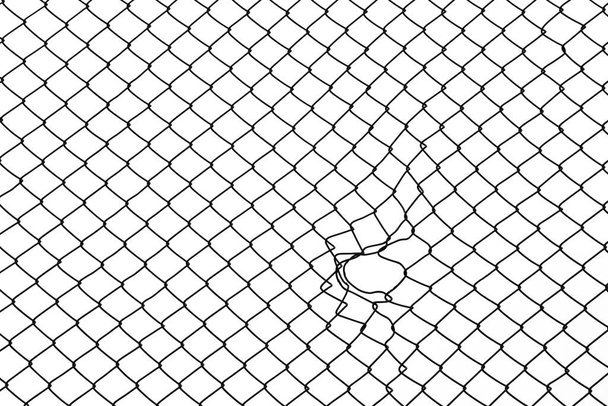 endommagement du fil métallique de la cage isolé sur fond blanc - Photo, image