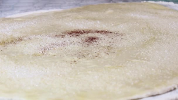 Saupoudrer la pâte à levure roulée de cannelle pour faire cuire les petits pains. Concentration sélective. - Séquence, vidéo