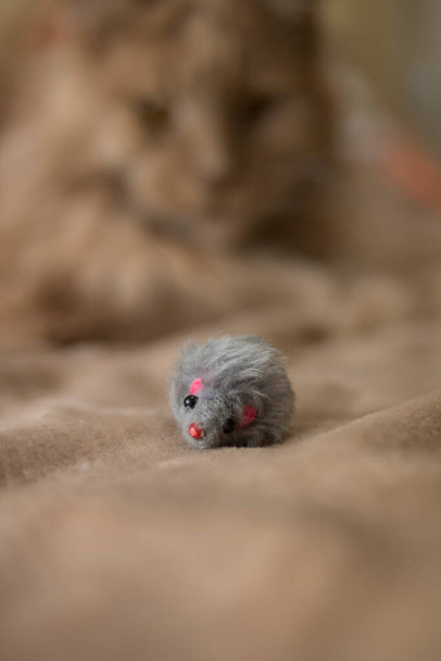 Un hermoso gato rojo esponjoso yace sobre una colcha beige con un pequeño ratón de juguete gris. Bueno para volantes, carteles, vallas publicitarias
. - Foto, imagen