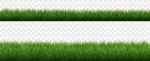 Green Grass Borders Transparent Background - Vektor, Bild