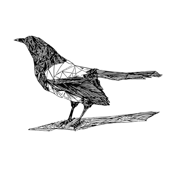 Magpie Bird Figure Isolated White Background - Вектор, зображення
